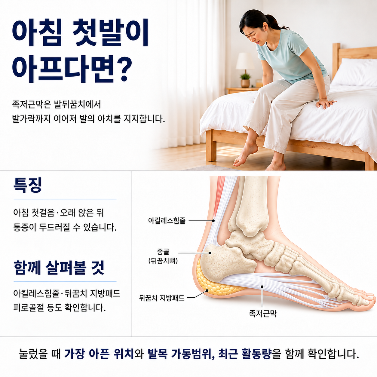 아침 첫발이 아프다면 - 족저근막의 위치와 함께 살펴볼 아킬레스힘줄·지방패드·피로골절